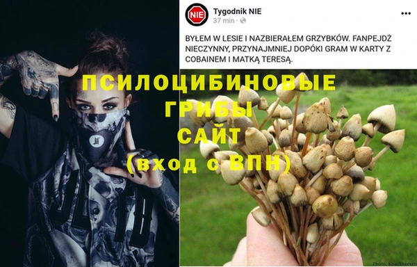 каннабис Дмитровск