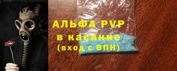 ECSTASY Гусев