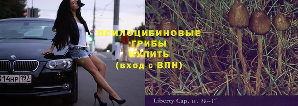 дживик Дмитриев