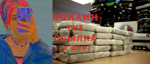 дживик Дмитриев